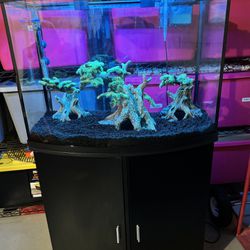 36 Gallon Fish Tank With Stand