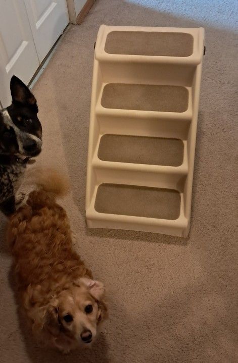 Pet Steps