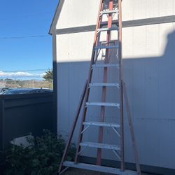 10 Foot Ladder 