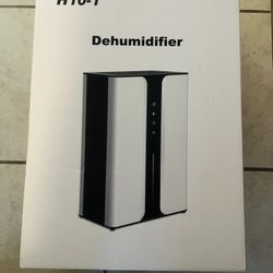 Dehumidifier for Home,