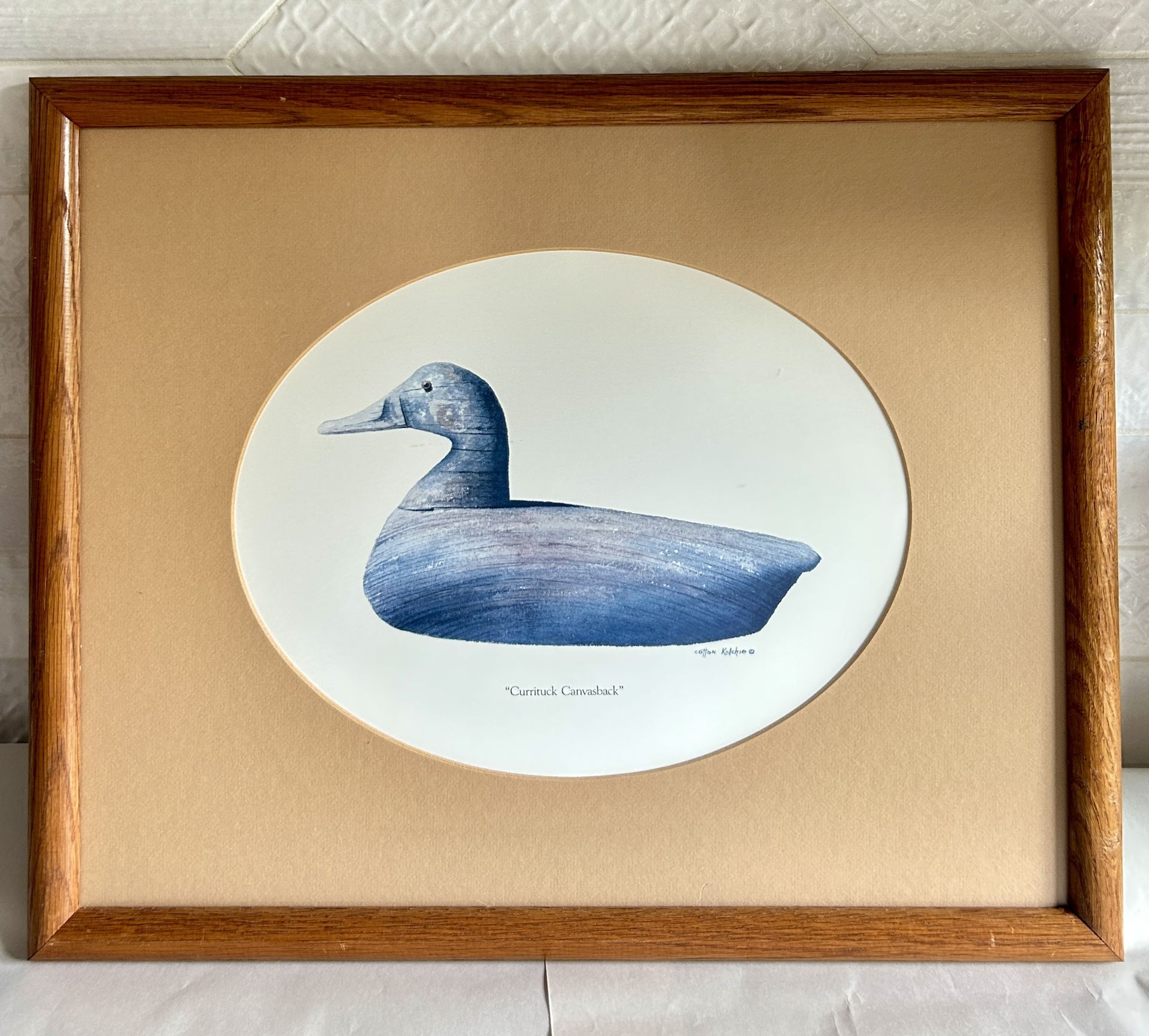 Vintage Framed And Signed “Currituck Canvasback” By Cotton Ketchie