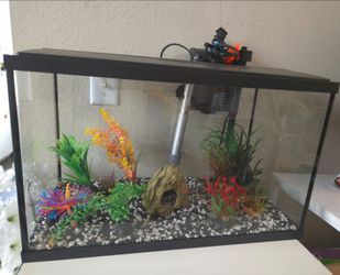 Aquarium, decorations, seachem prime almost full and other bottles are half or less