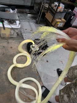 Fiber Optic Lights