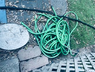 Free bunch of garden hoses like new