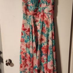 NWT Dress 