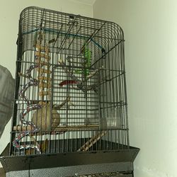 Large Bird/ Parrot Cage