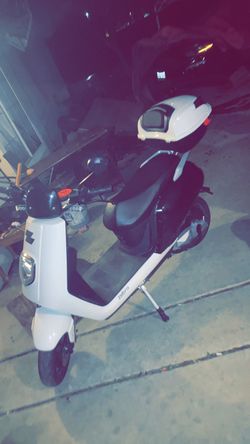 Zebra 2024 Electric Moped 