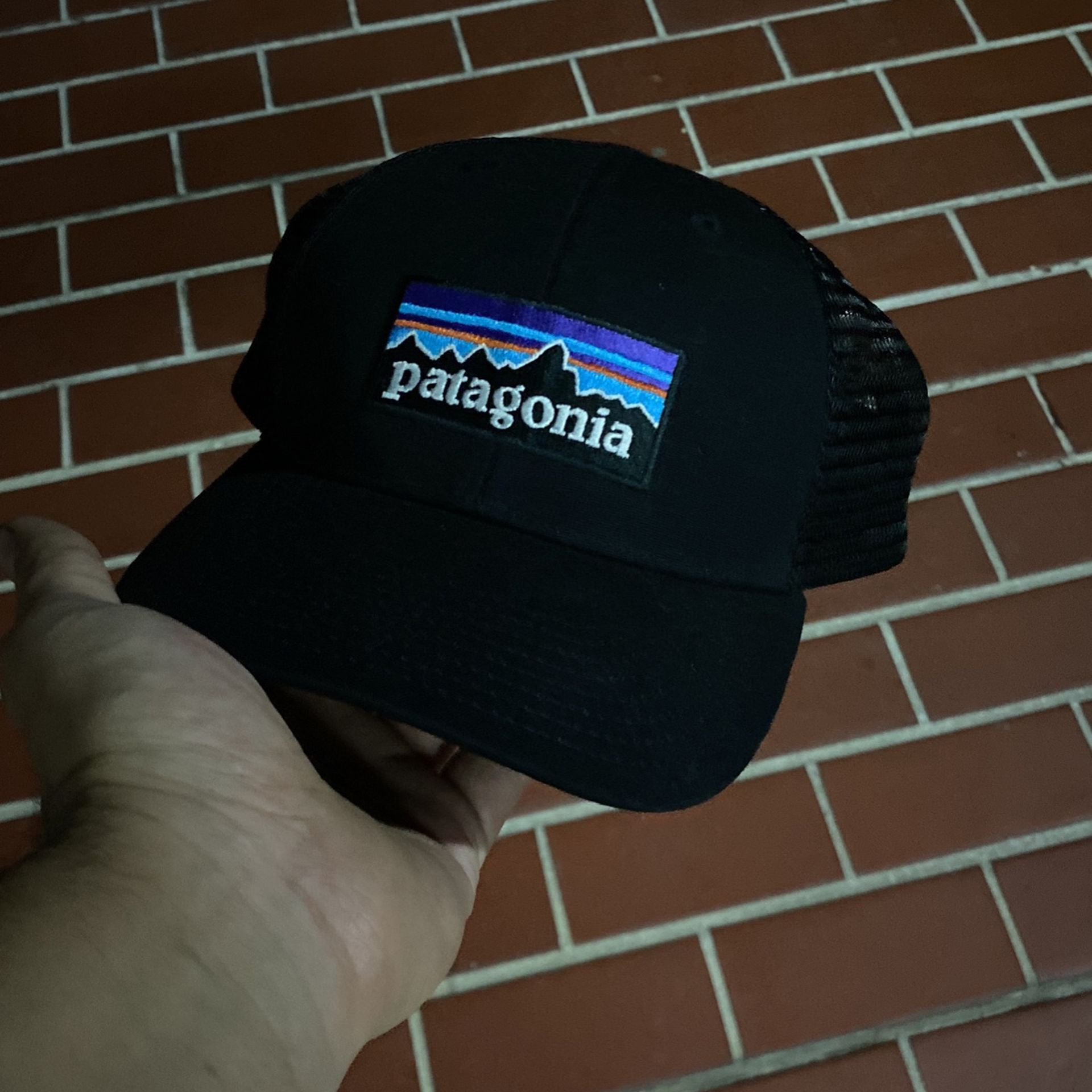 Patagonia Trucker Hat