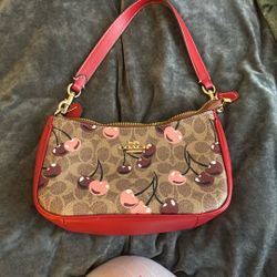 Coach Cherry Bag