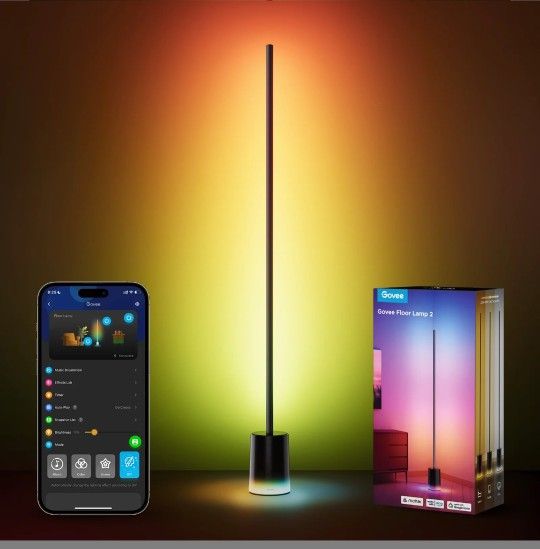 Govee Floor lamp 2
