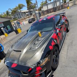 Mustang Terminator Hood 