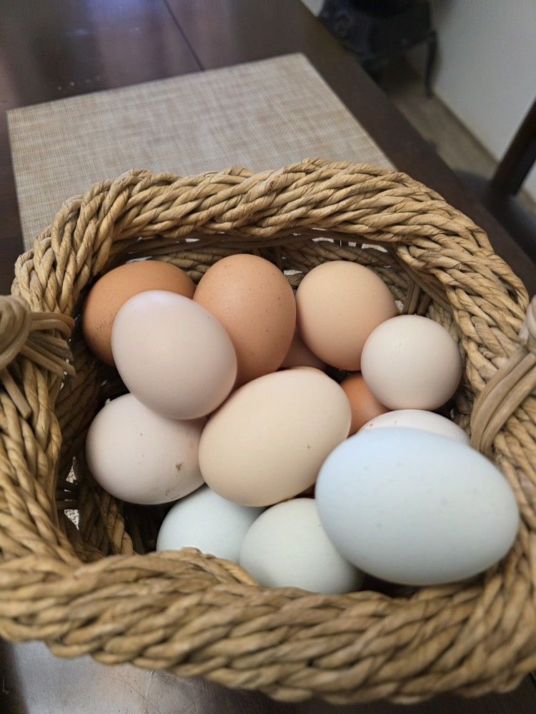 Fresh Farm Eggs - $8