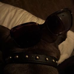 Coach Women’s Sun Glasses 