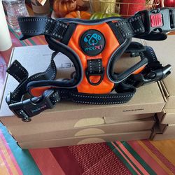 Dog Harness