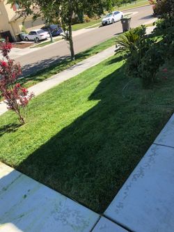 Landscaping