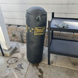 Punching Bag 