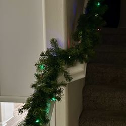 Lighted 9’ Garland Battery Operated