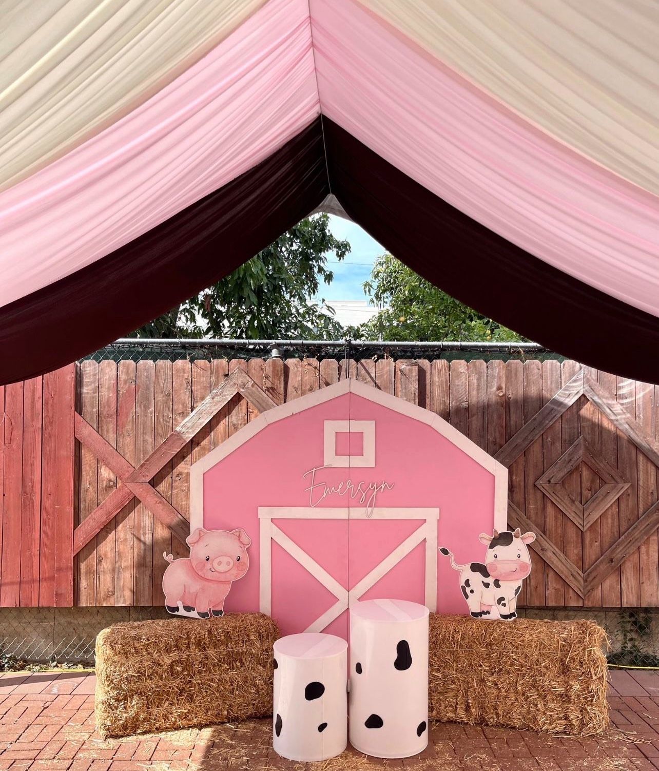 Barn Backdrop Photo Prop Party