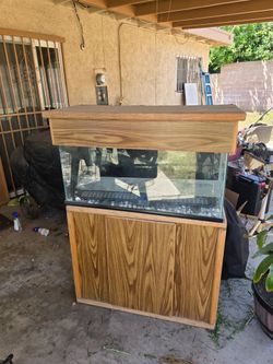 40gl fish tank
