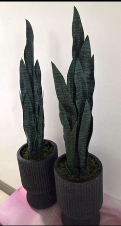 *** NEW LOW PRICE *** PAIR of 3ft Faux Snake Plants in 15in Gray Resin Planters (2 for $80) @ Lasting Creations