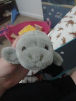 Fiesta 7" manatee