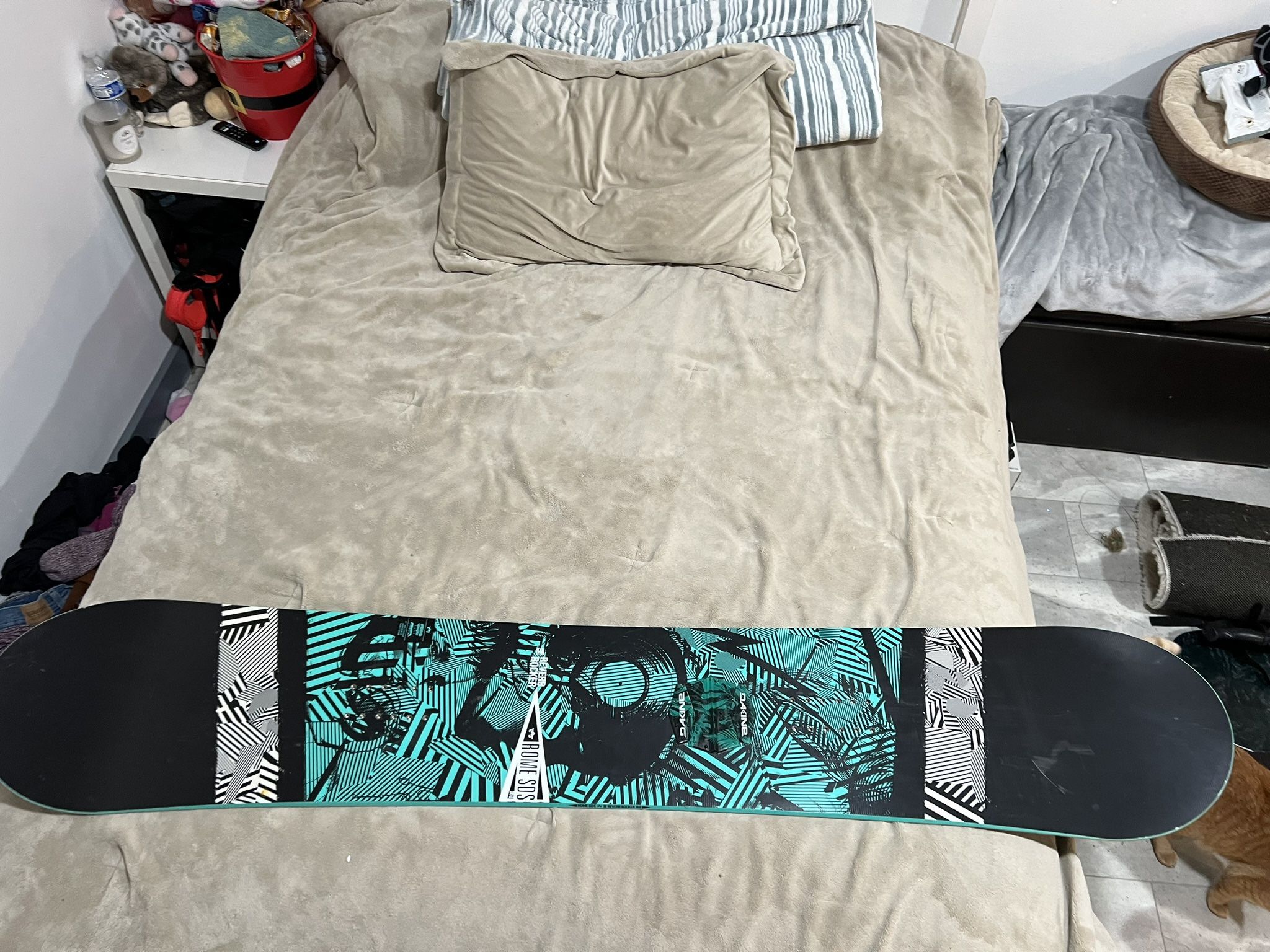 160cm Snow Board