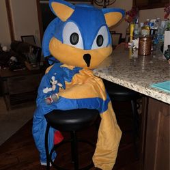 Sonic The Hedgehog Costume Large Head Professional Type Costume 