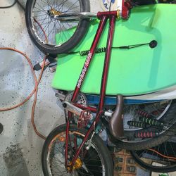 Steel Panther Race Bmx Bike