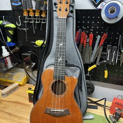 Ukulele Cut Away