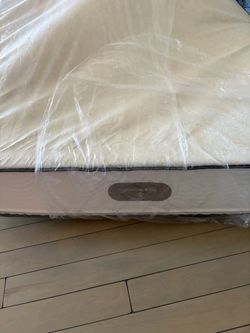 Free Queen Four Seasons Mattress