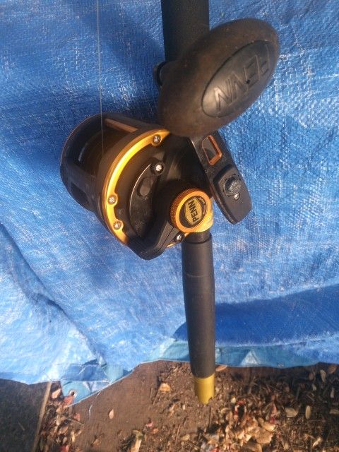 Penn Reel Fishing Pole