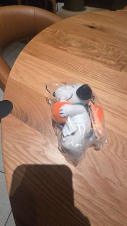 Starbucks  Snoopy Keychain