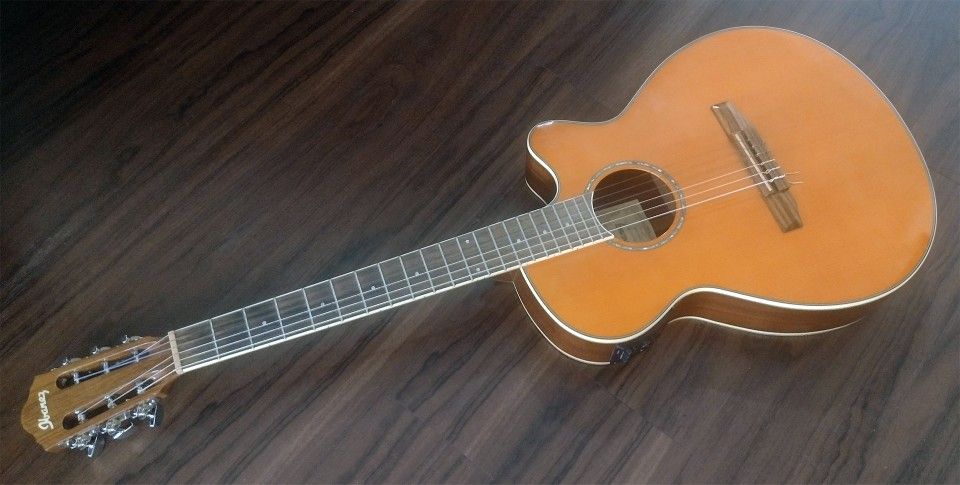 Ibanez Acoustic/Electric Guitar Model: AEG10NⅡ + Soft Carry Case