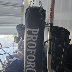 Garage  And Painting Stelts 