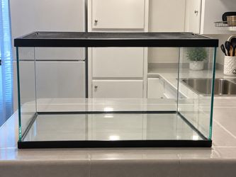10 gallon tank