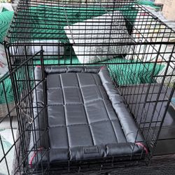 Dog Crate With Pad