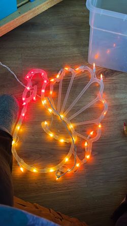 Thanksgiving lighted turkey