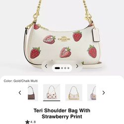 bag coach