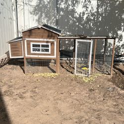 Chicken Coop