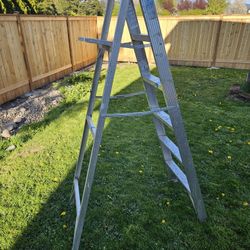 6 Ft Ladder 