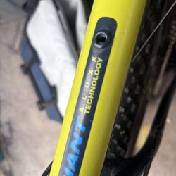 Giant Mountain Bike 