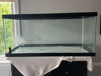 50 Gallon Tank