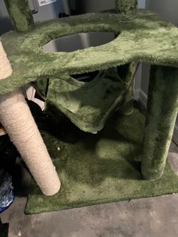 Cat scratching tree