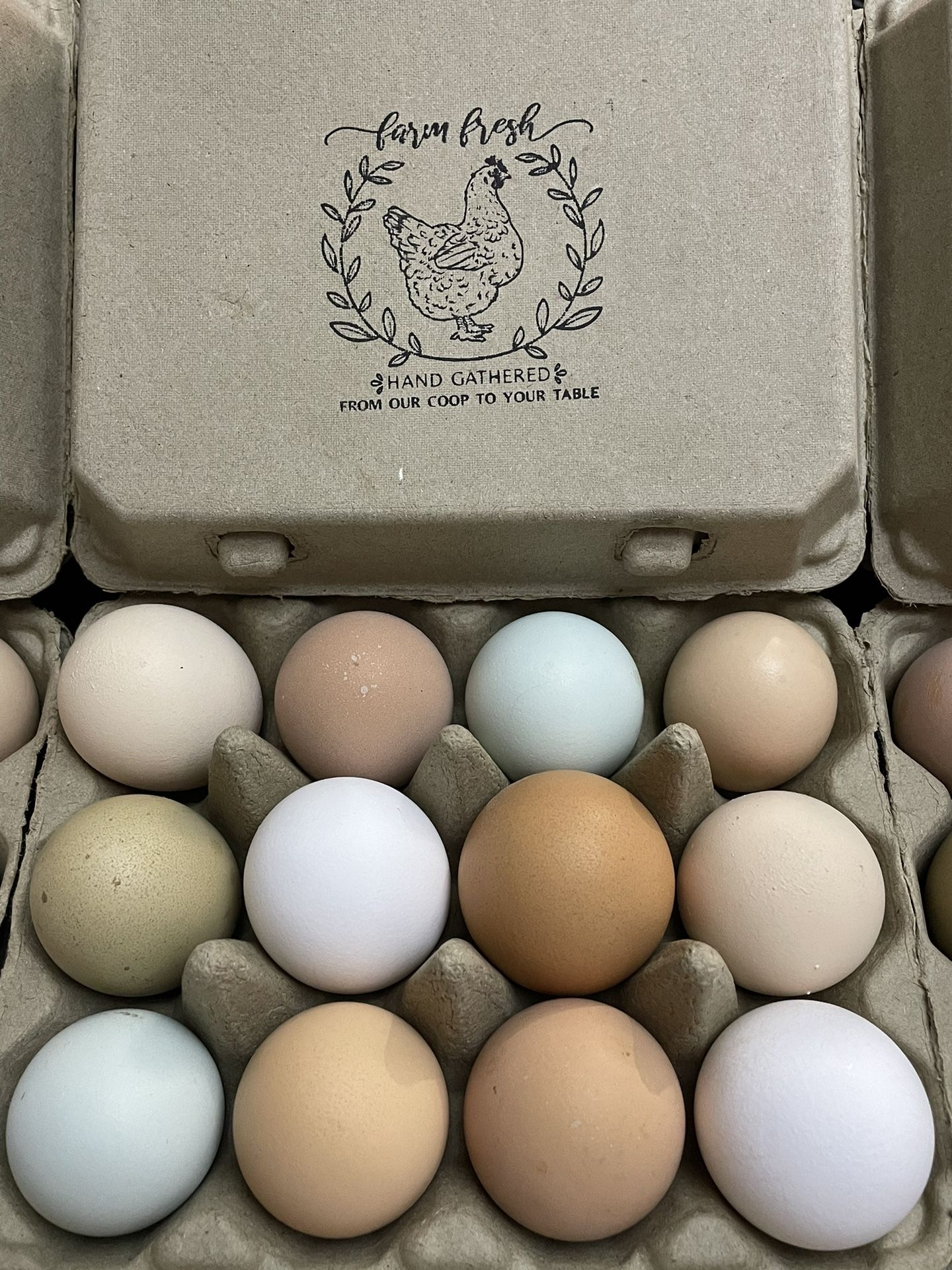 Fresh Farm Eggs Huevos Frescos