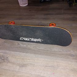 Skate Board 
