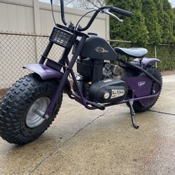 Trailsport Buffalo Mini Bike