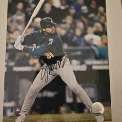 Mike Piazza 8 X 10 Autograph In Hard Plastic