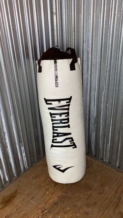 Everlast Punching Bag