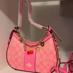 Bolsas Disponible Trai Dos Corraa 