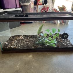 40 gallon reptile enclosure 